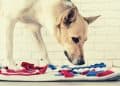 Top 5 Snuffle Mats for Dogs in 2022 – Which One Is Right for Your Furry Friend?