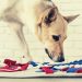 Top 5 Snuffle Mats for Dogs in 2022 – Which One Is Right for Your Furry Friend? 17 Expert advice for everyday products and services, so that you make the best purchase decisions for your needs. Top 5 Snuffle Mats for Dogs in 2022 – Which One Is Right for Your Furry Friend?
