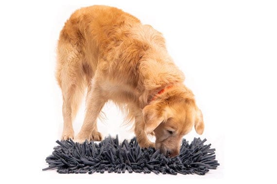 Dog snuffle mats offer mental stimulation as a dog smells and sniff around for hidden treats