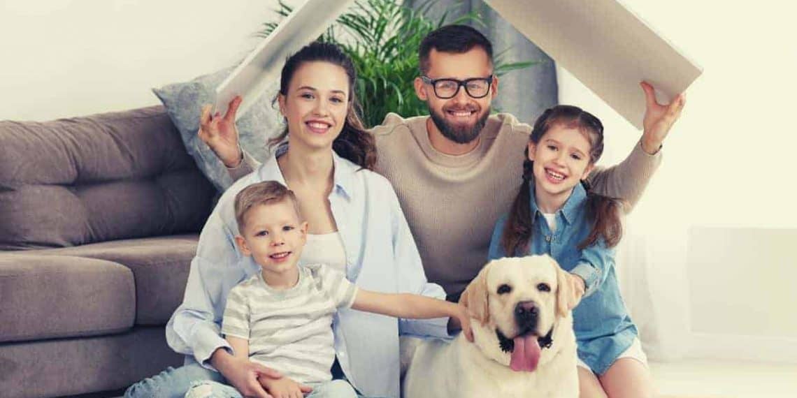 Top 10 Home Essentials for Every Home in 2022