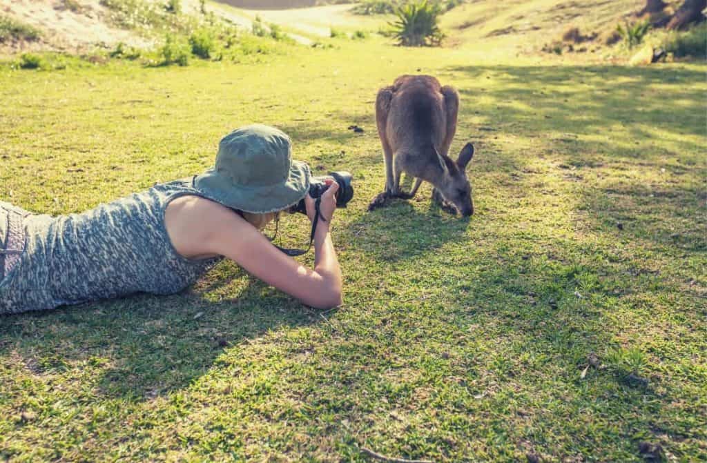Sony has the best cameras for those who love to get close and capture their subjects in their natural habitat. 