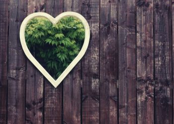 A garden mirror can add a unique and beautiful touch to your garden