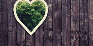 Best Buy Guide to the Top 10 Garden Mirrors in 2022 8 Expert advice for everyday products and services, so that you make the best purchase decisions for your needs. A garden mirror can add a unique and beautiful touch to your garden